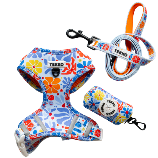 Pack ajustable Bloom