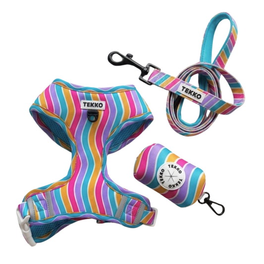 Pack ajustable Candy
