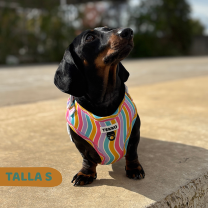 Arnés ajustable Candy