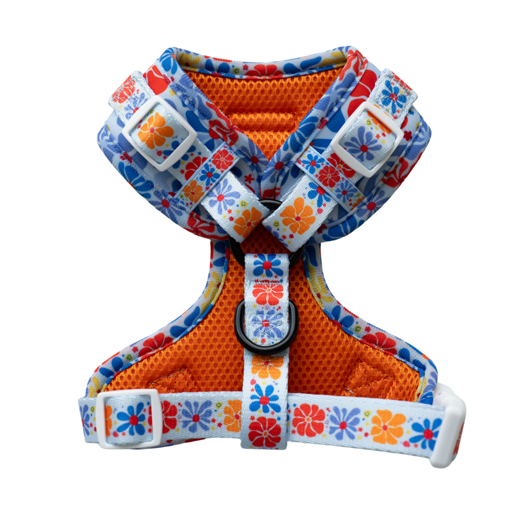 Arnés ajustable Bloom