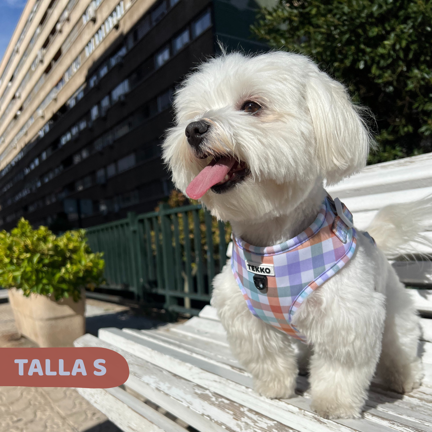 Arnés ajustable Vichy Forest