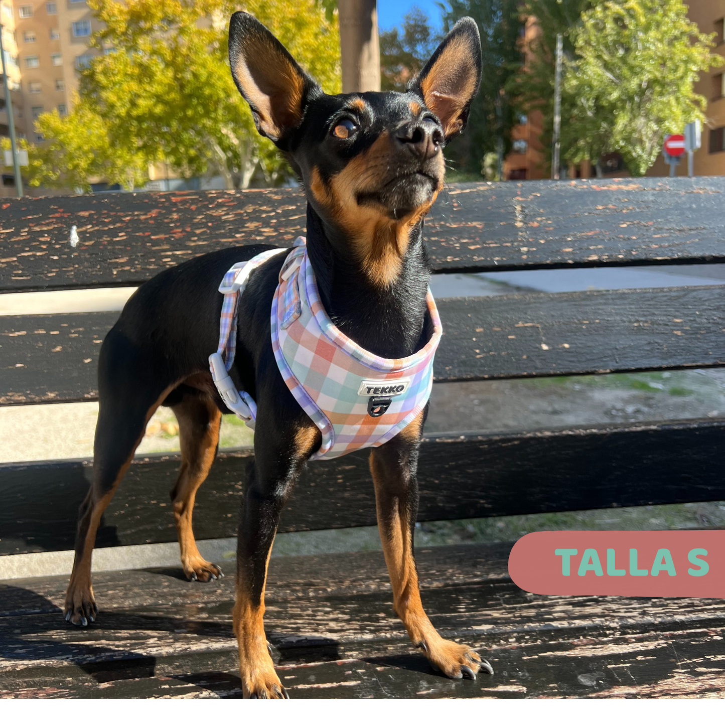 Arnés ajustable Vichy Forest