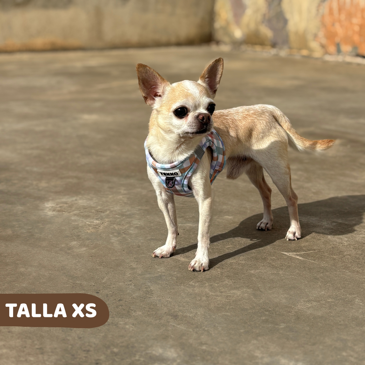 Arnés body Vichy Forest