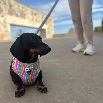 Arnés ajustable Candy