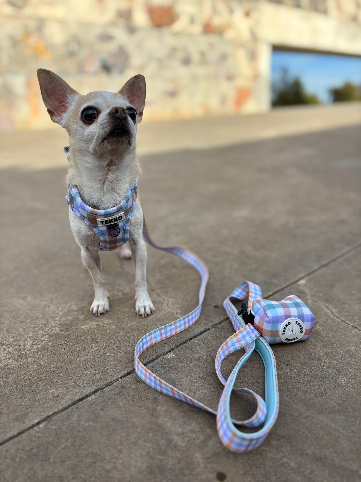 Arnés body Vichy Forest